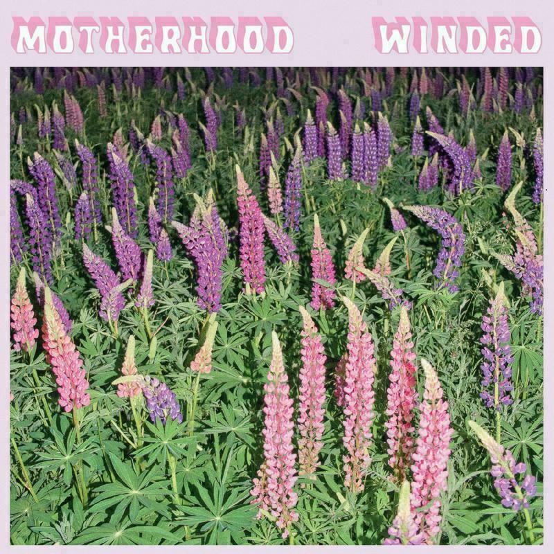 Picture of Motherhood - Winded