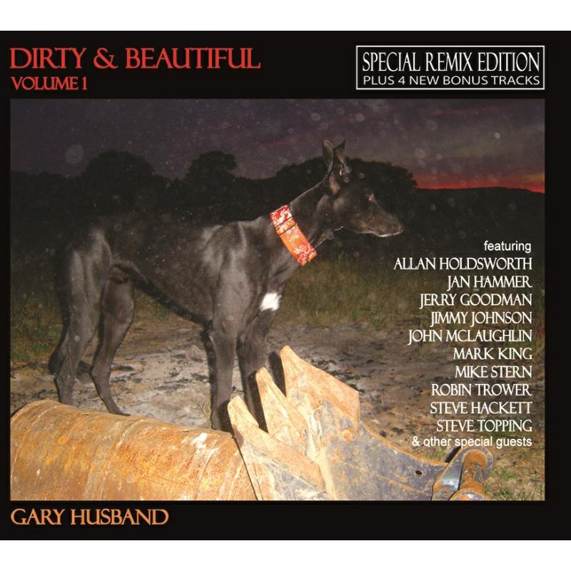 Picture of Gary Husband - Dirty and Beautiful Vol 1 (Remix Edition with Bonus Tracks)