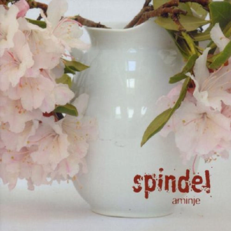 Picture of Spindel - Aminje