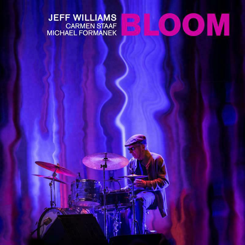 Picture of Jeff Williams - Bloom