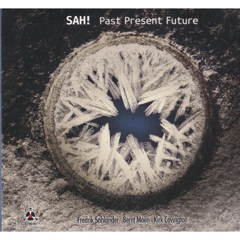 Picture of Sah! - Past Present Future