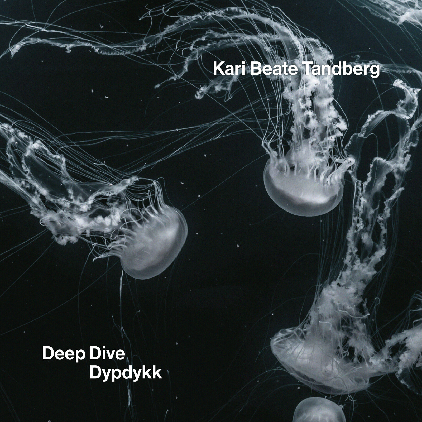 Picture of Kari Beate Tandberg - Deep Dive