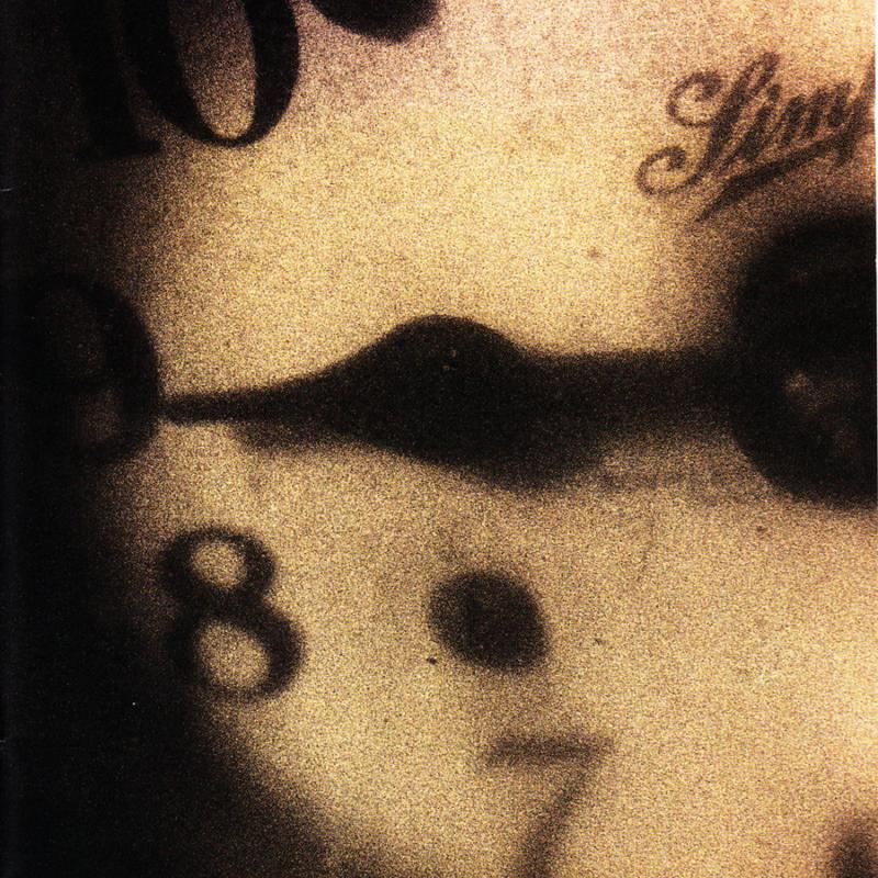 Picture of Mark Kozelek - Rock N' Roll Singer