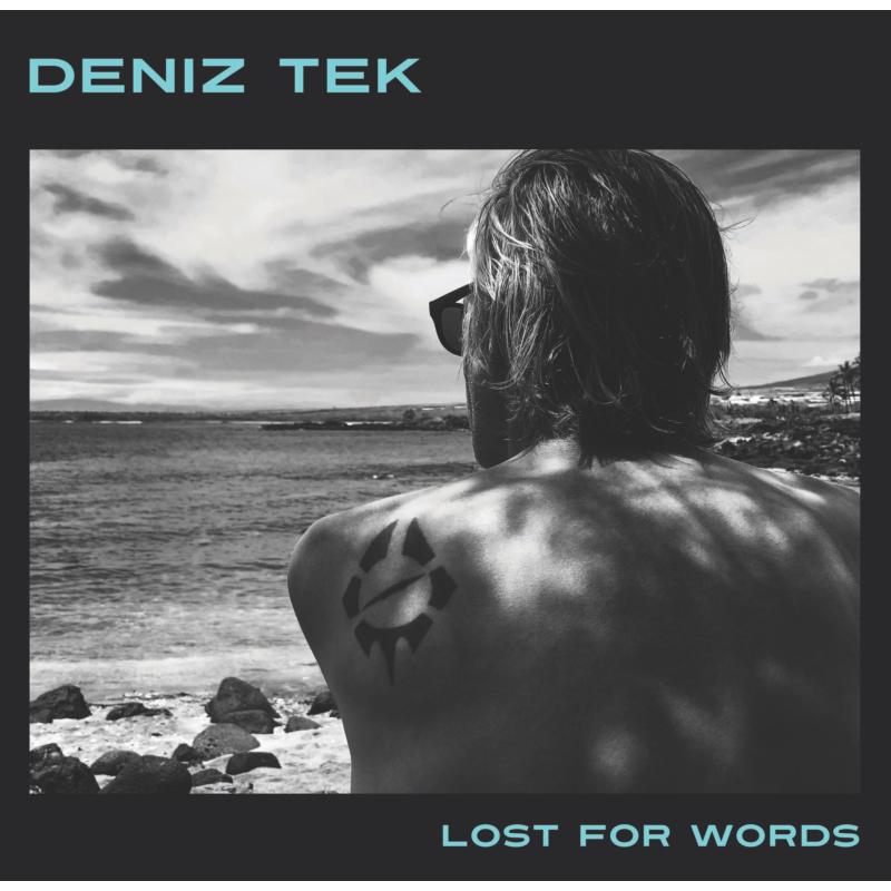 Picture of Deniz Tek - Lost For Words