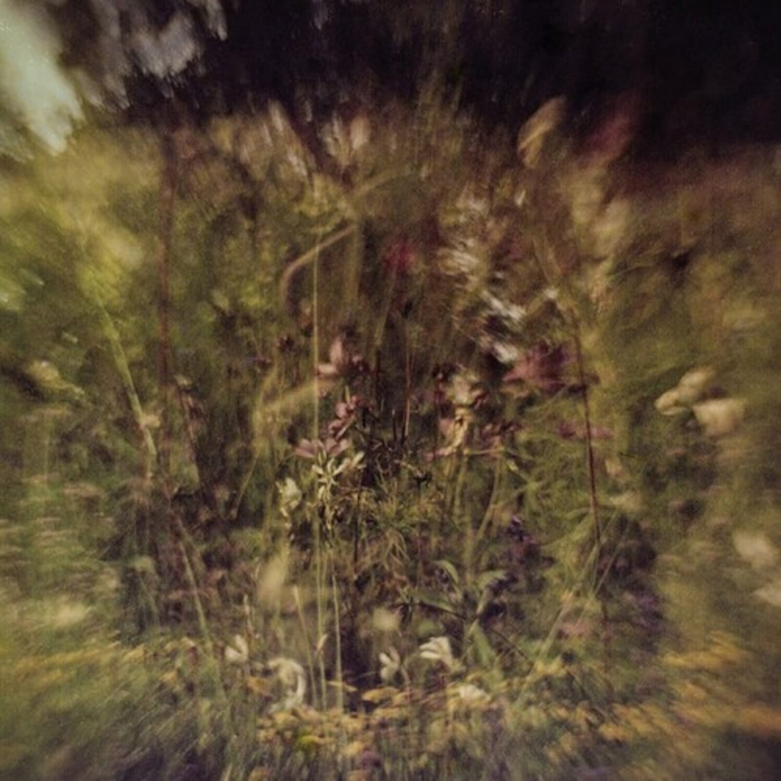 Picture of PLURALONE - WILE B/W REMEMBERED (PURPLE)