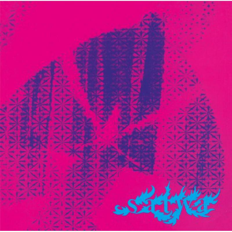 Picture of Lula C�rtes & Lailson - Satwa