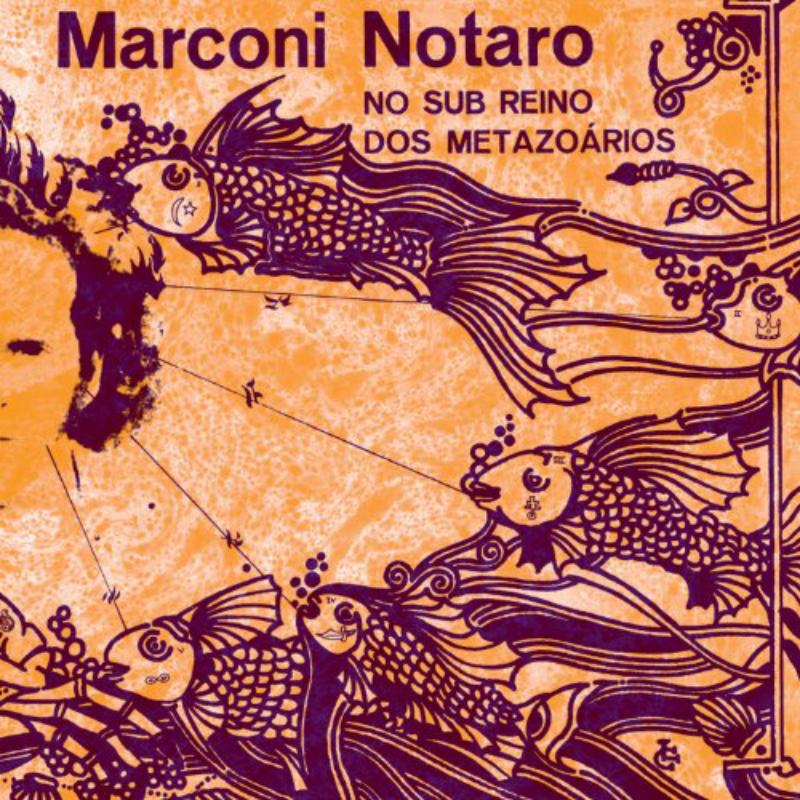 Picture of Marconi Notaro - No Sub Reino Dos Metazoarios