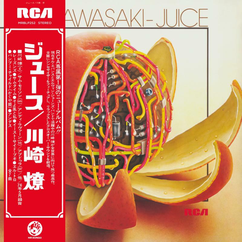 Picture of Ryo Kawasaki - Juice