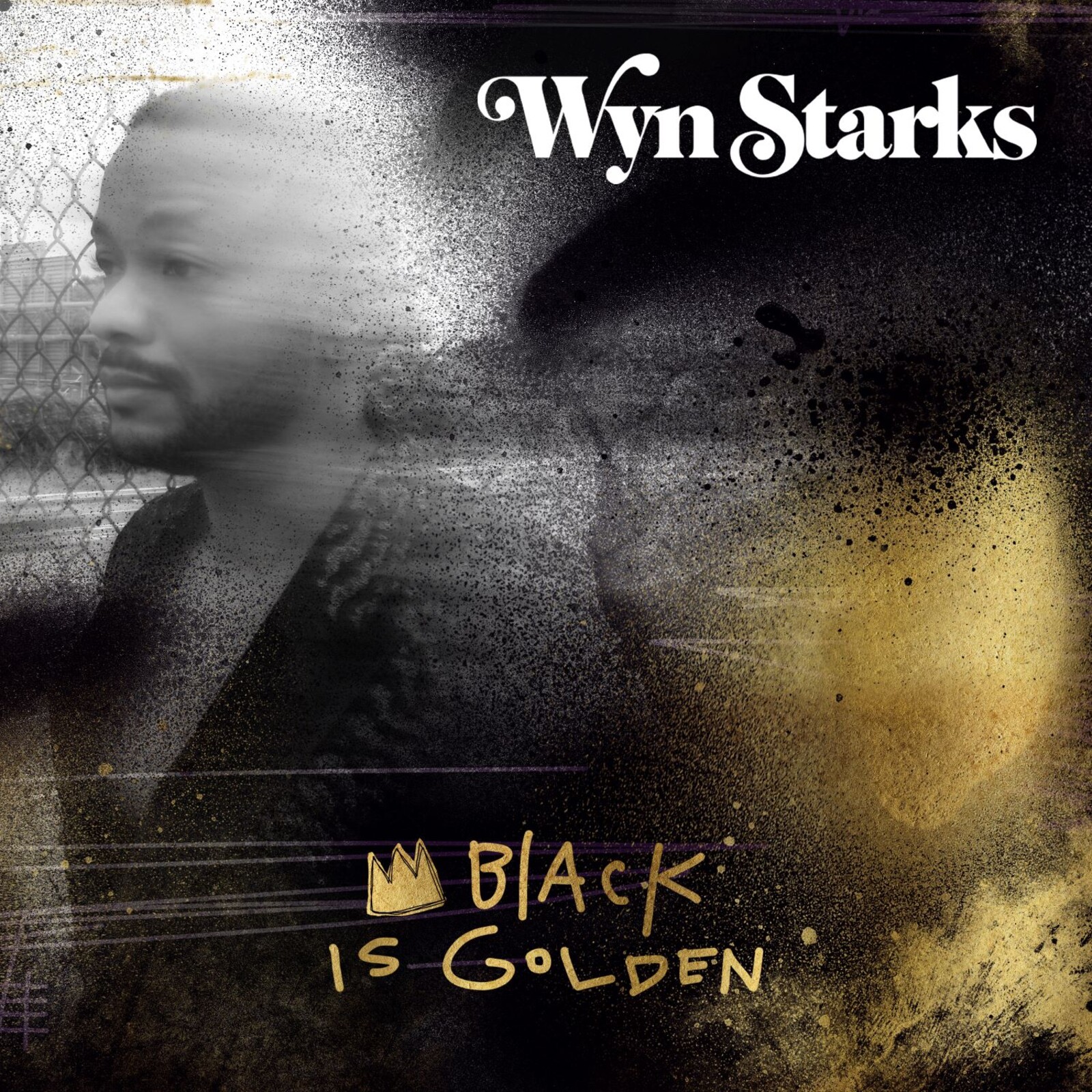Picture of Wyn Starks - Black Is Golden