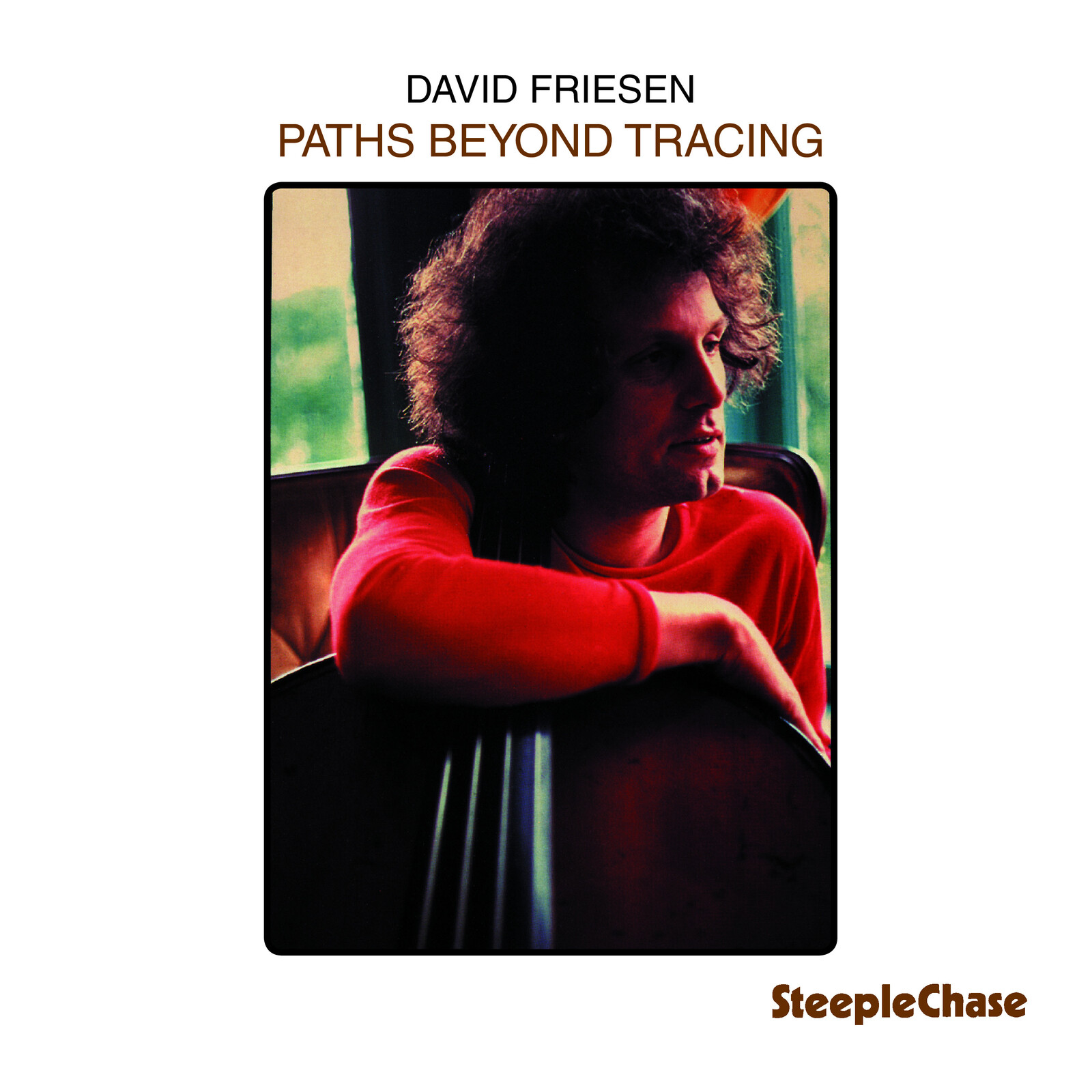 Picture of David Friesen - Paths Beyond Tracing