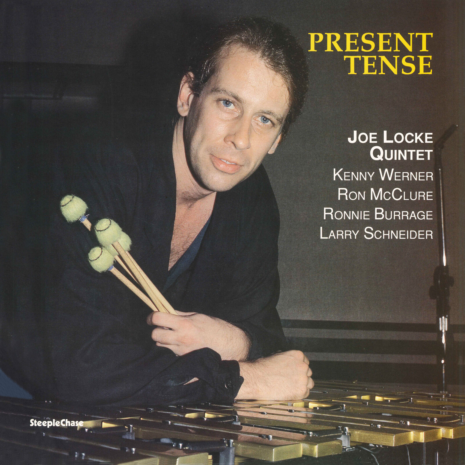 Picture of Joe Locke Quintet - Present Tense