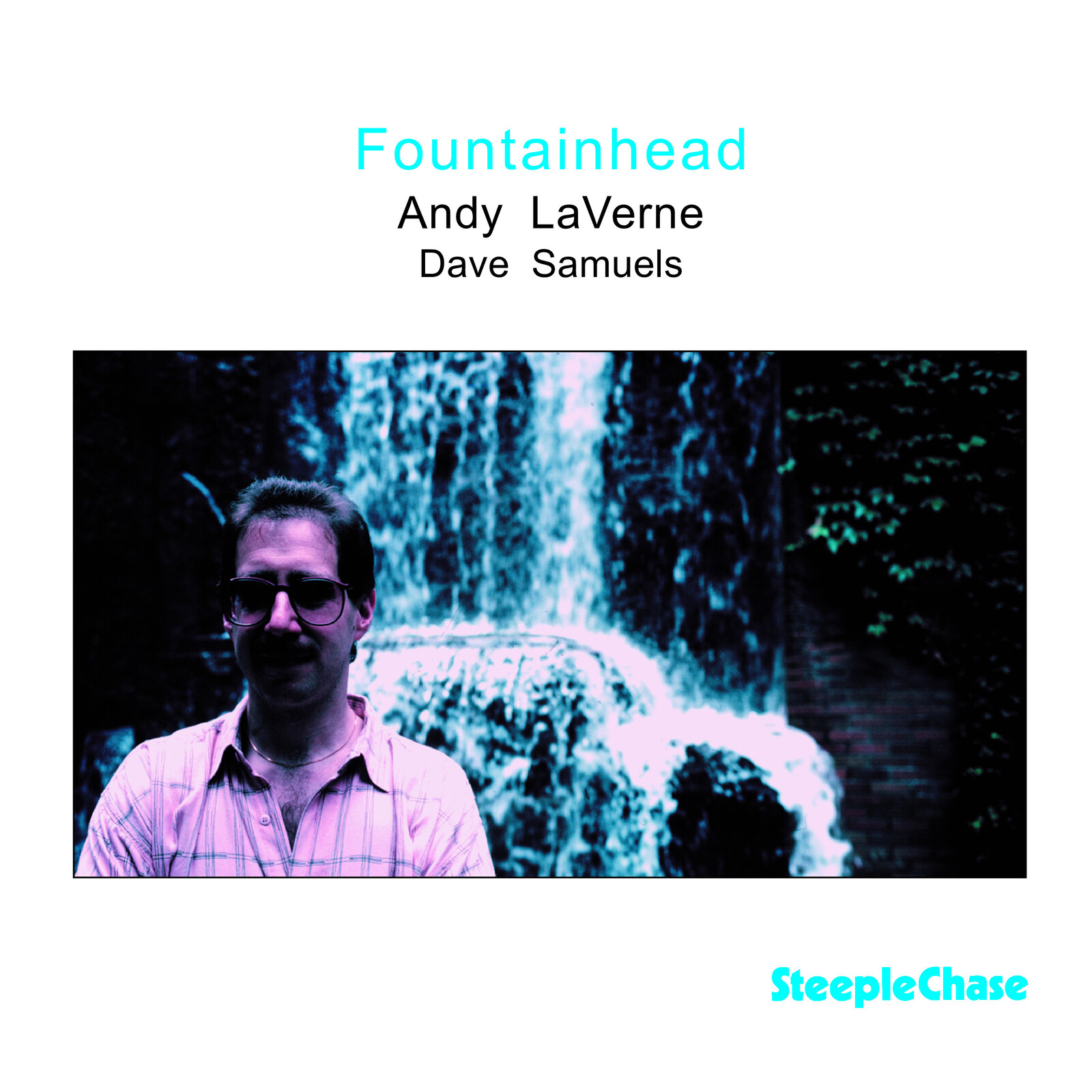 Picture of Andy LaVerne & Dave Samuels - Fountainhead