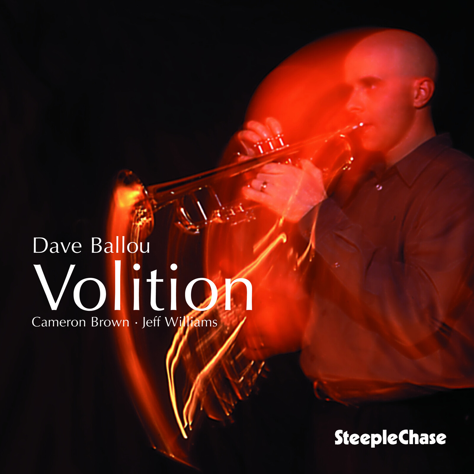 Picture of Dave Ballou - Volition