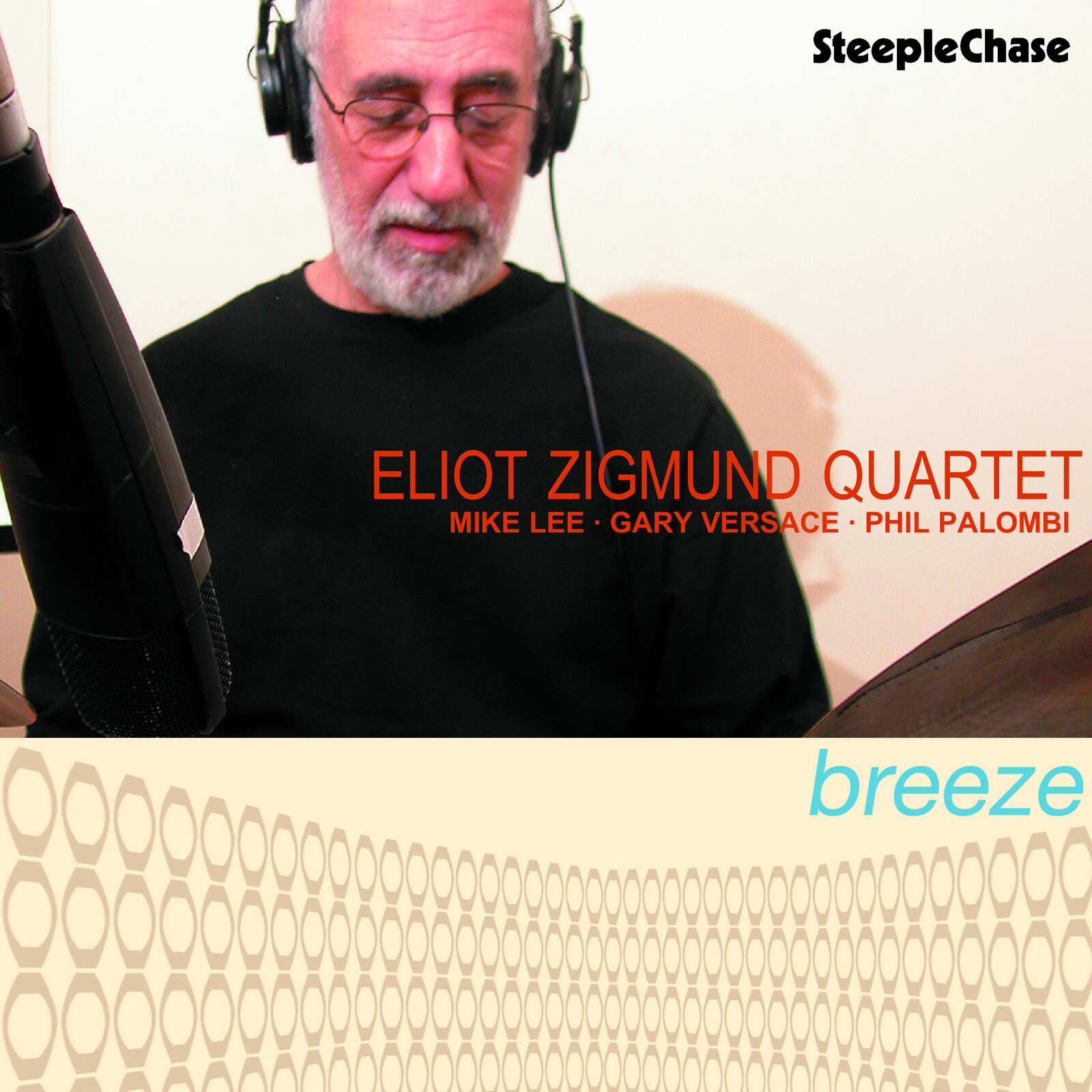 Picture of Eliot Zigmund - Breeze