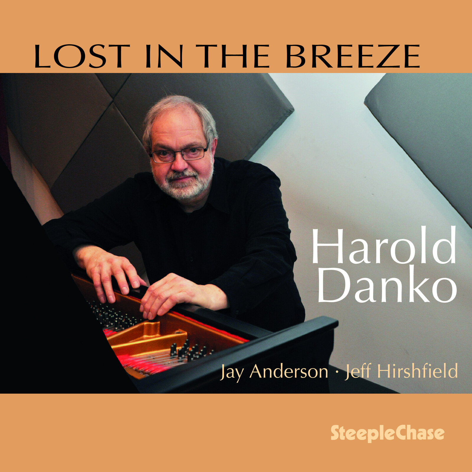 Picture of Harold Danko - Lost in the Breeze