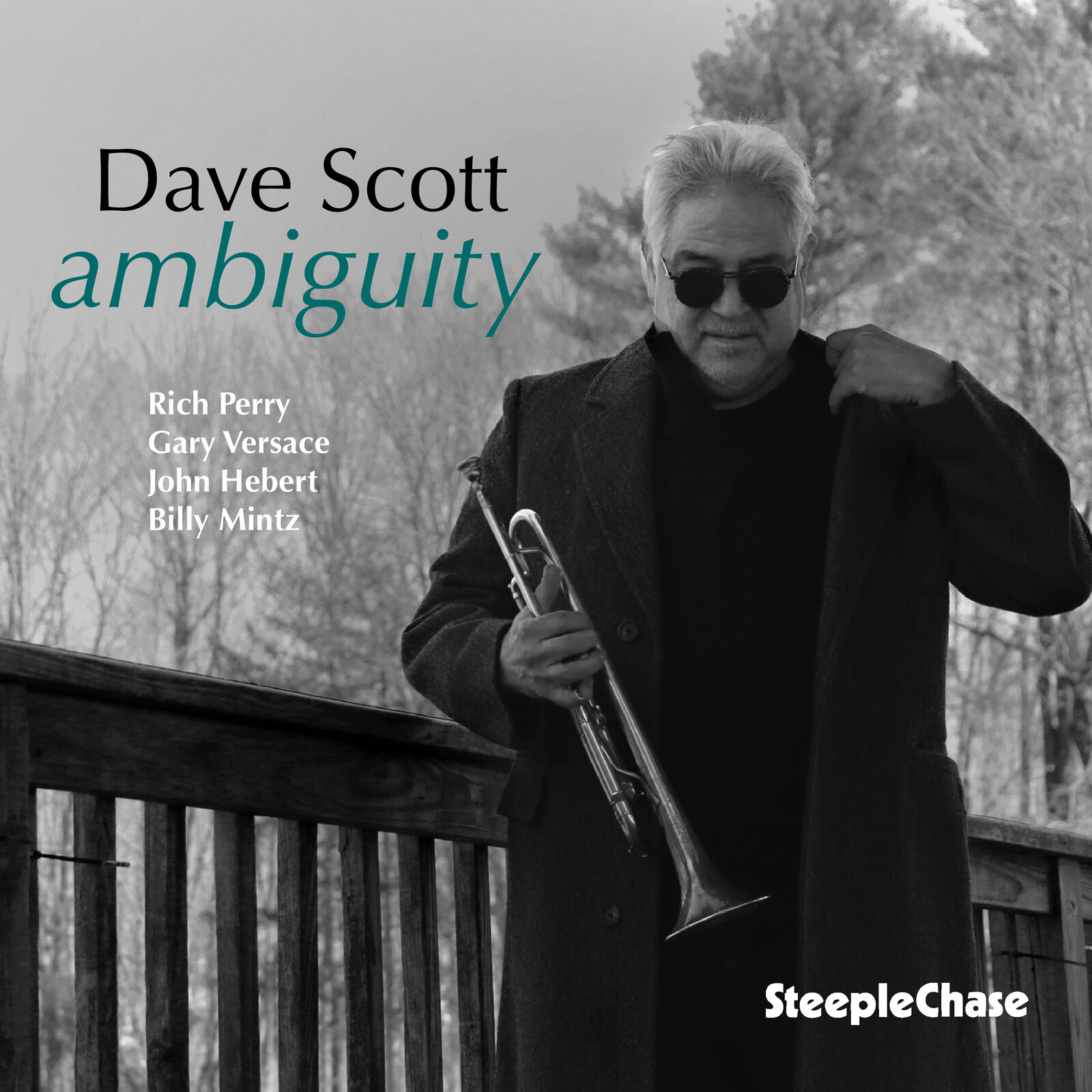 Picture of Dave Scott - Ambiguity