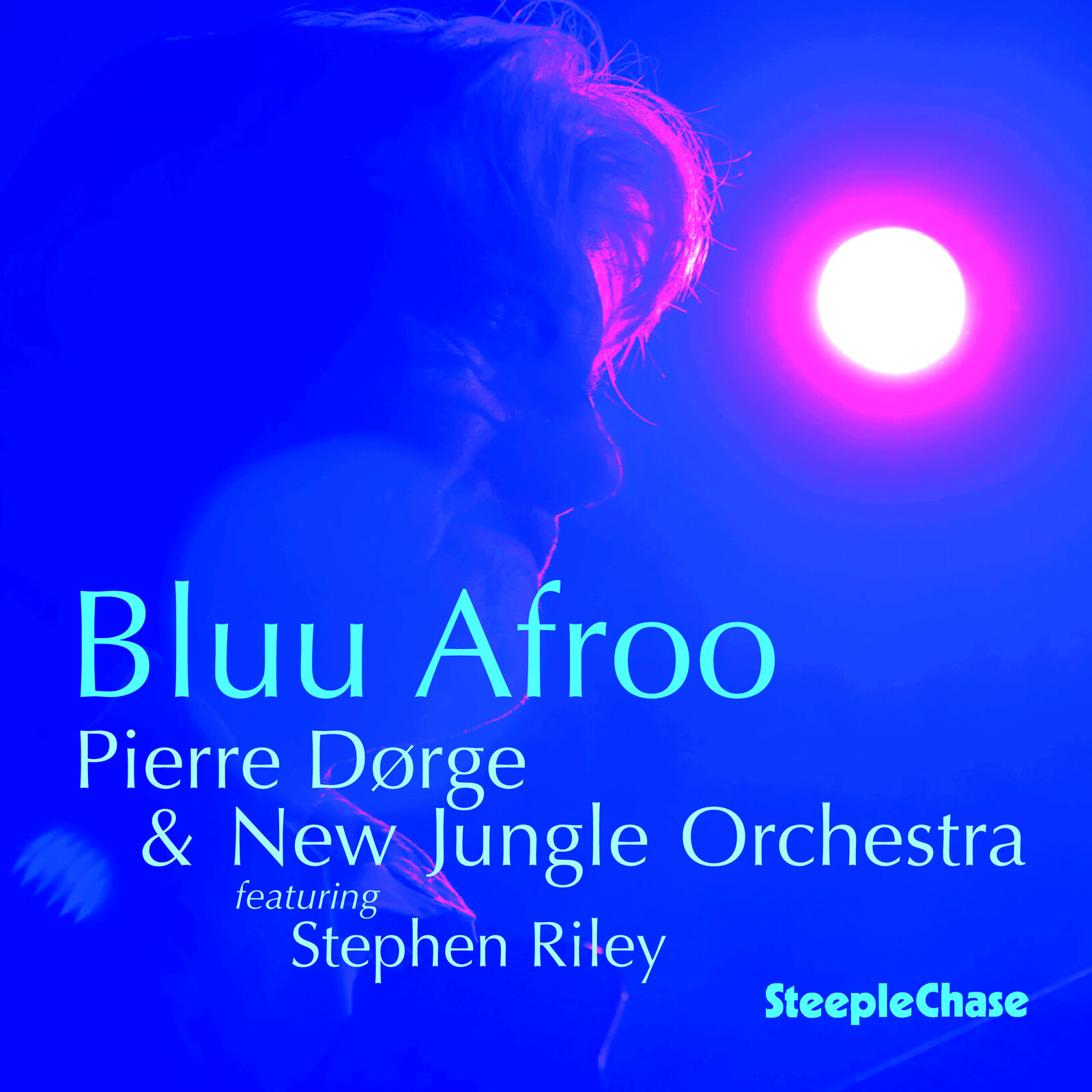 Picture of Pierre Dorge & New Jungle Orchestra - Bluu Afroo