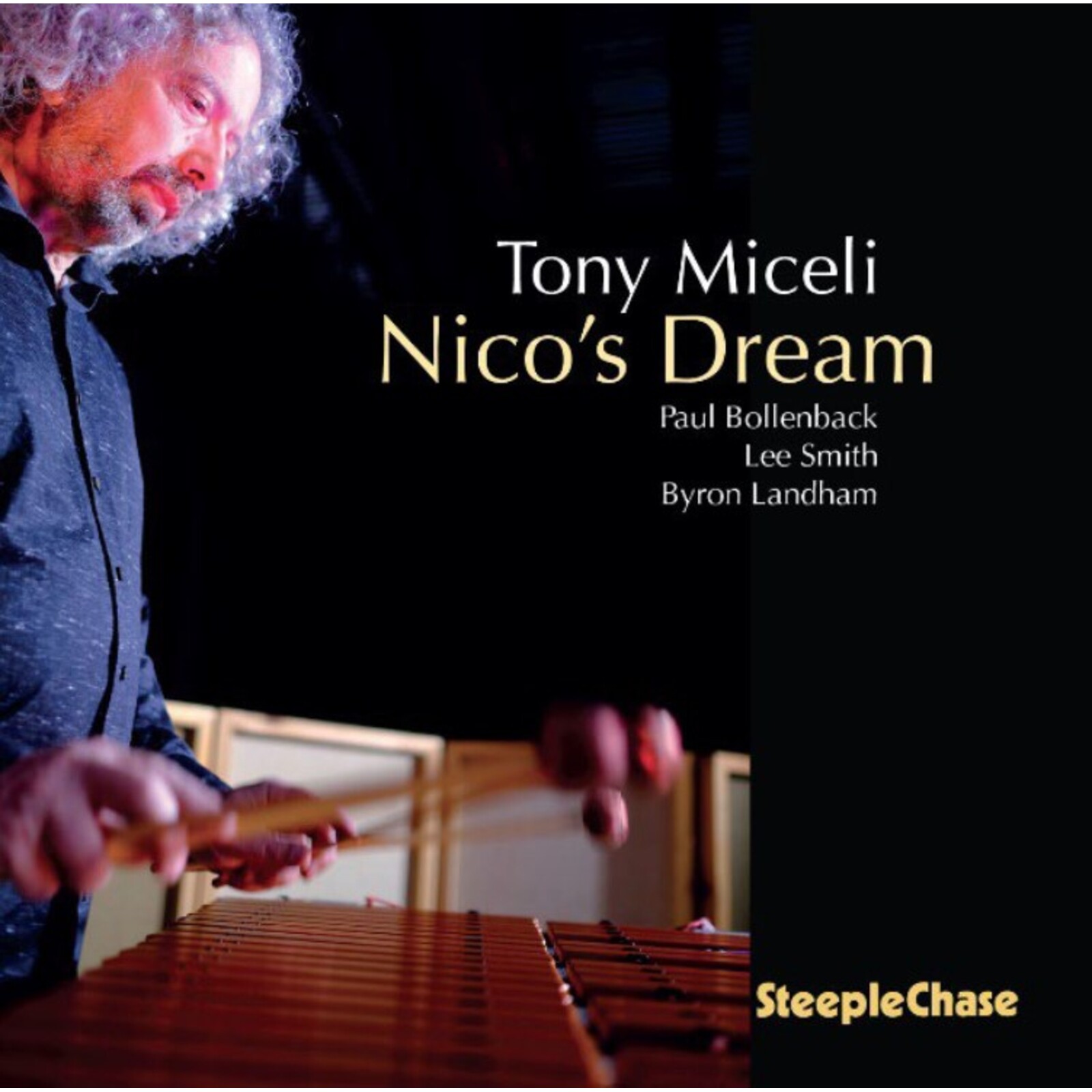 Picture of Tony Miceli - Nico's Dream