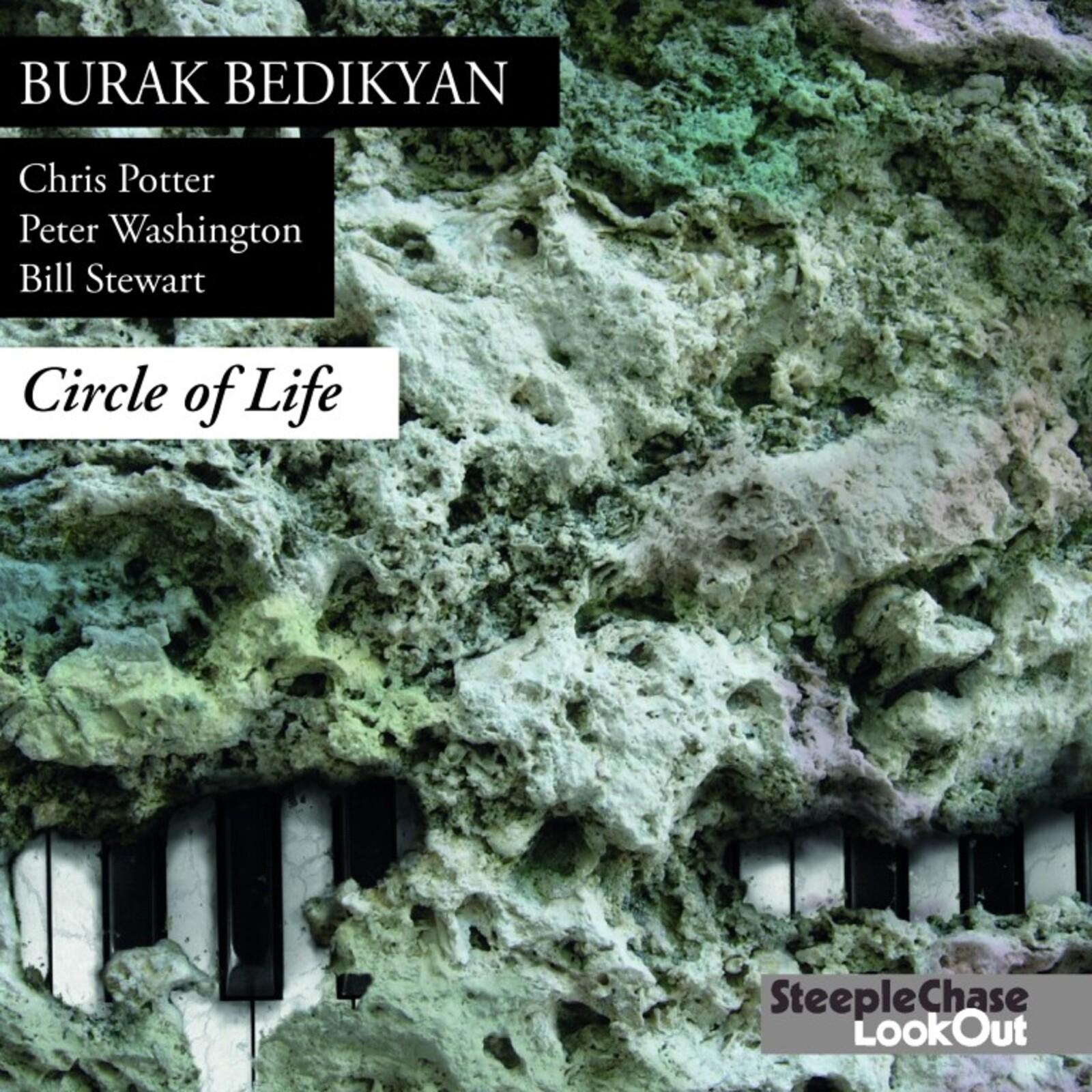 Picture of Burak Bedikyan - Circle of Life
