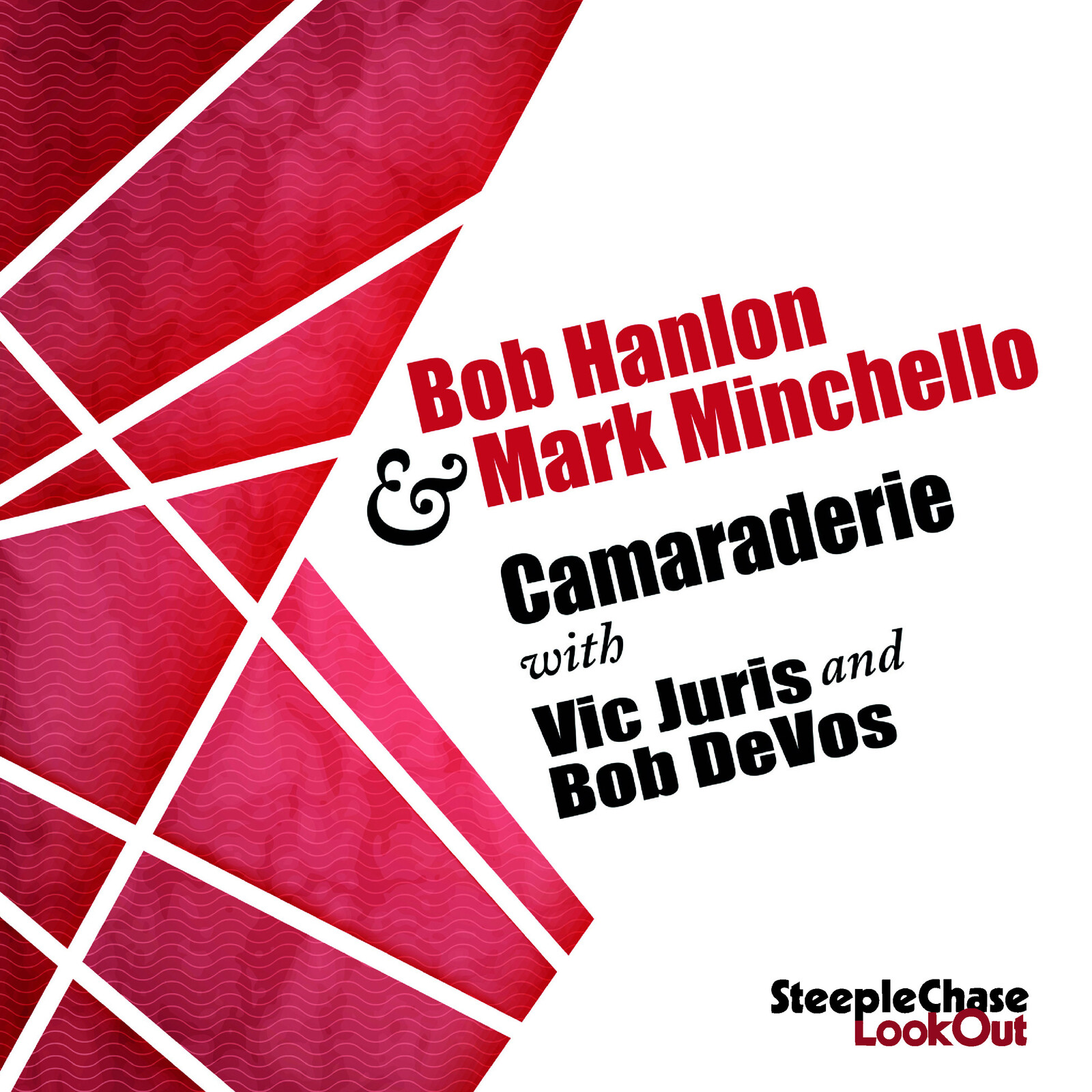 Picture of Bob Hanlon & Mark Minchello - Cameraderie