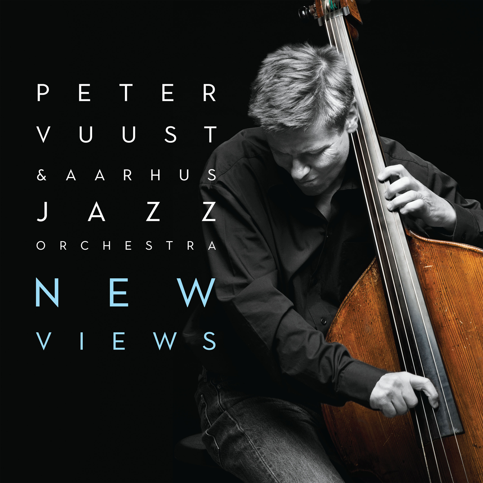 Picture of Peter Vuust & Aarhus Jazz Orchestra - New Views