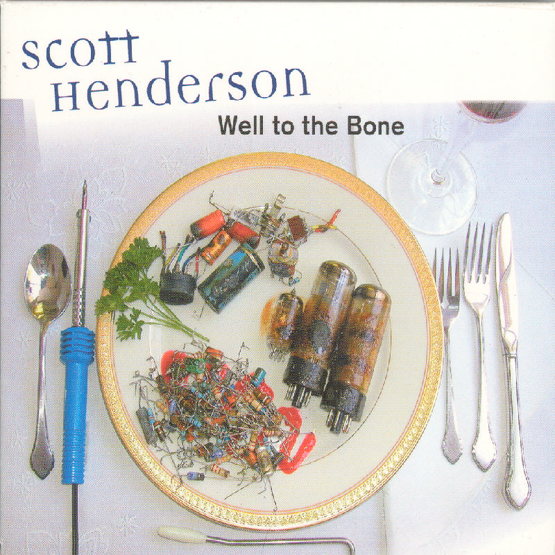 Picture of Scott Henderson - Well To The Bone