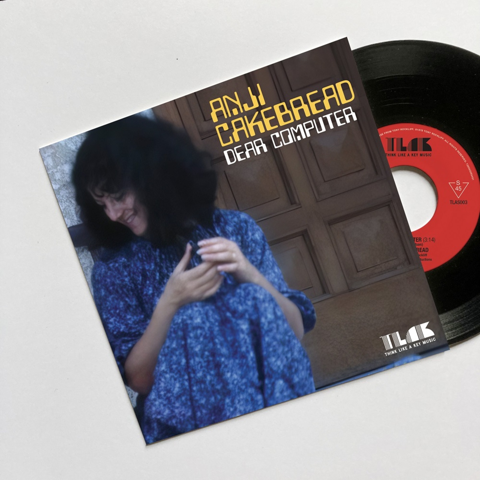 Picture of Anji Cakebread - Dear Computer