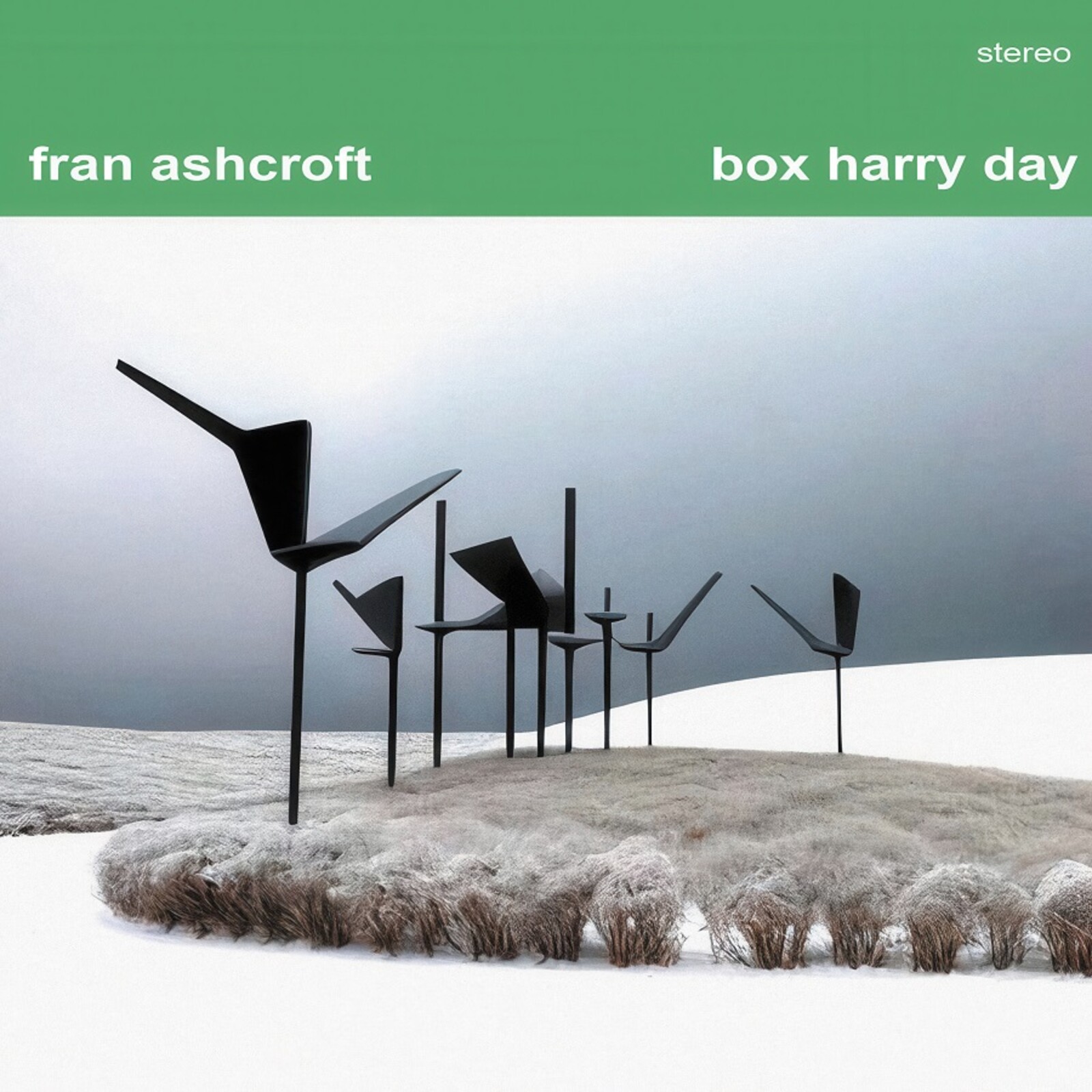 Picture of Fran Ashcroft - Box Harry Day