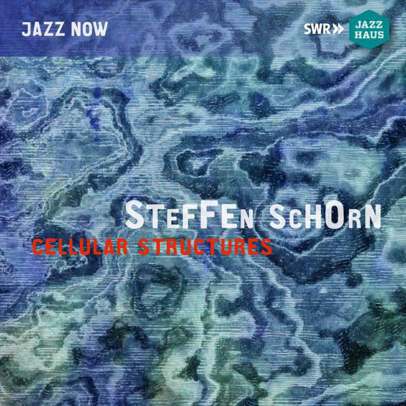 Picture of Steffen Schorn Ens/Njm Octet - Steffen Schorn: Cellular Structures