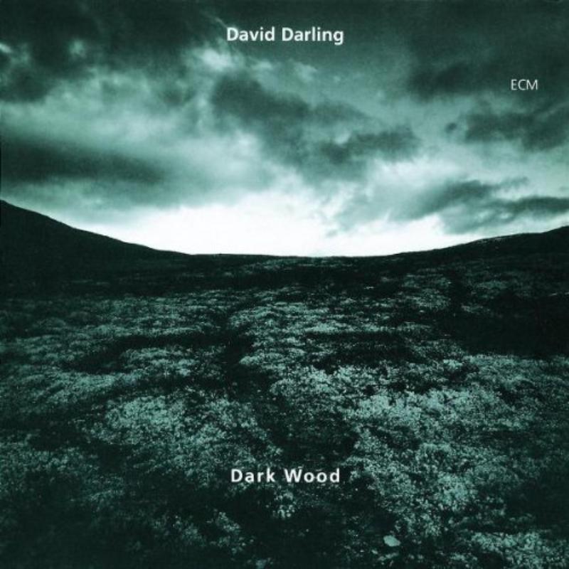 Picture of David Darling - Dark Wood