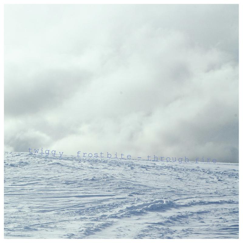 Picture of Twiggy Frostbite - Through Fire