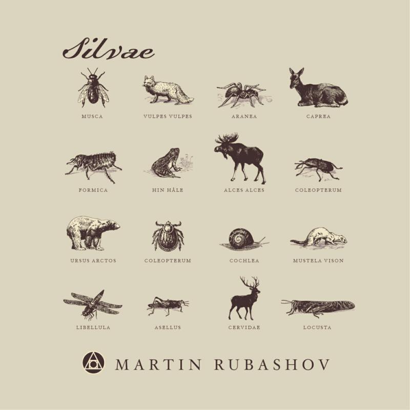 Picture of Martin Rubashov - Silvae