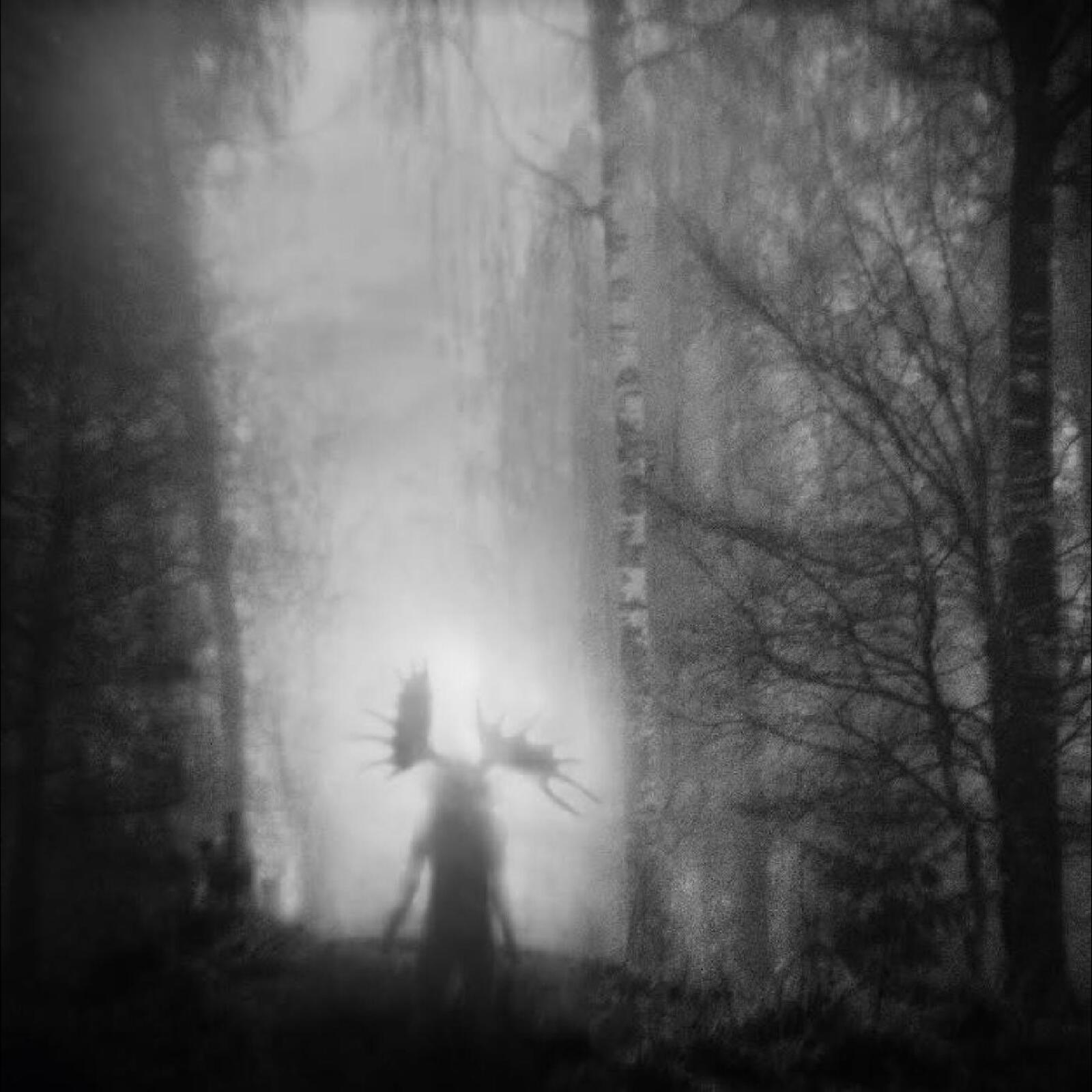 Picture of Iterum Nata - From the Infinite Light