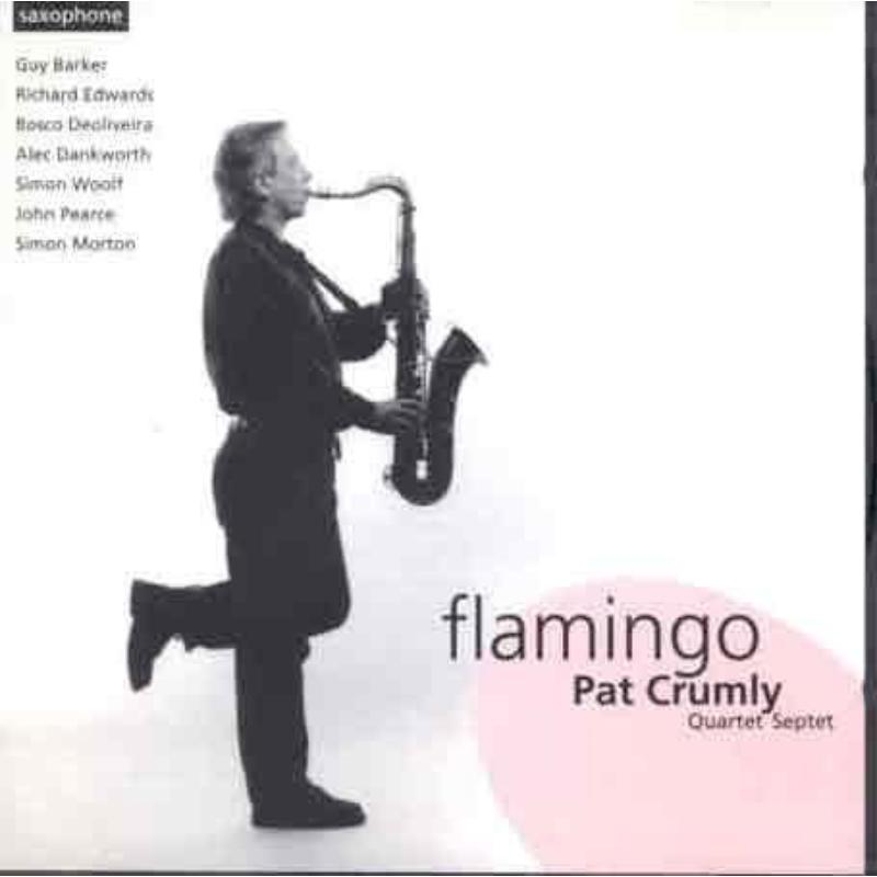 Picture of Pat Crumly - Flamingo