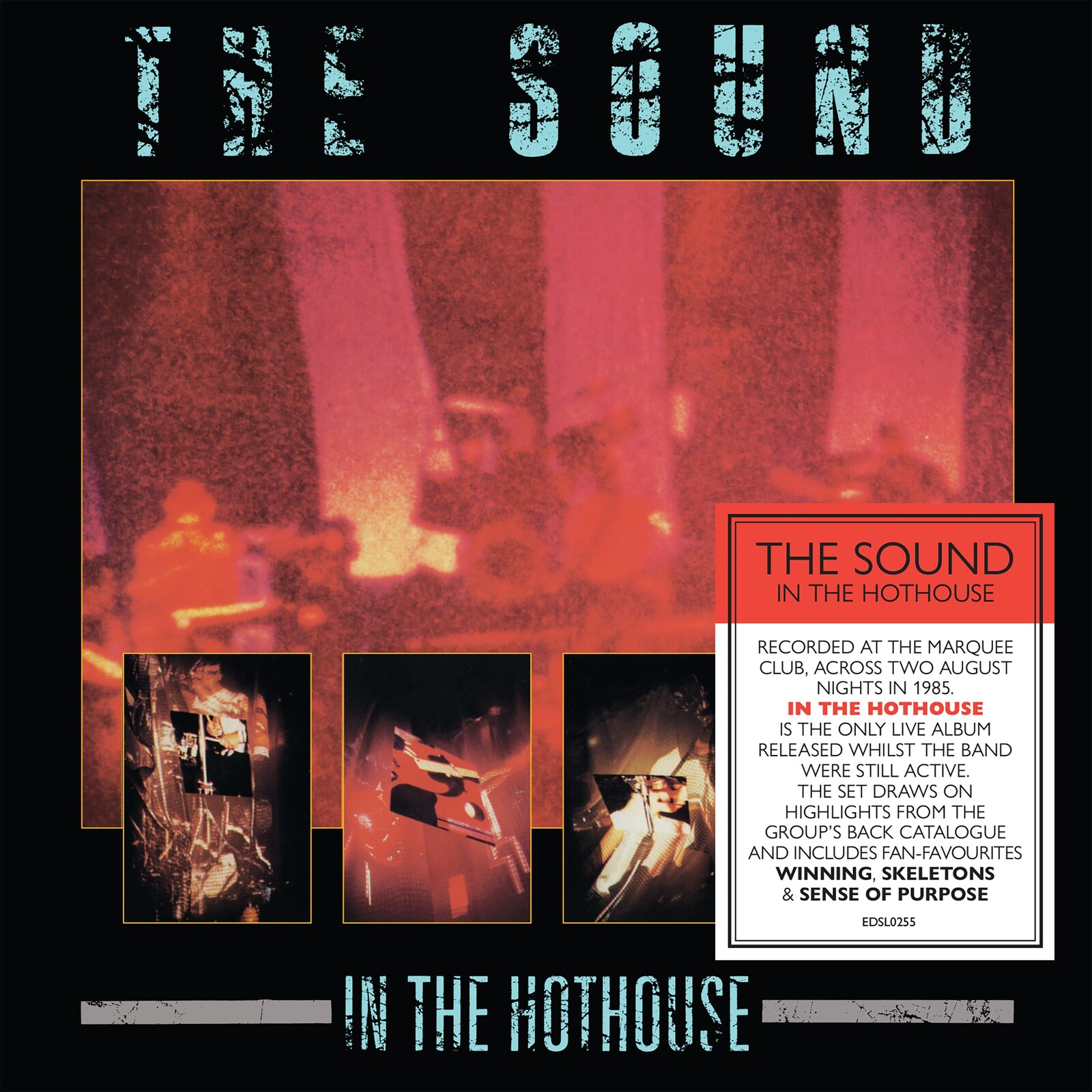 Picture of The Sound - In The Hothouse