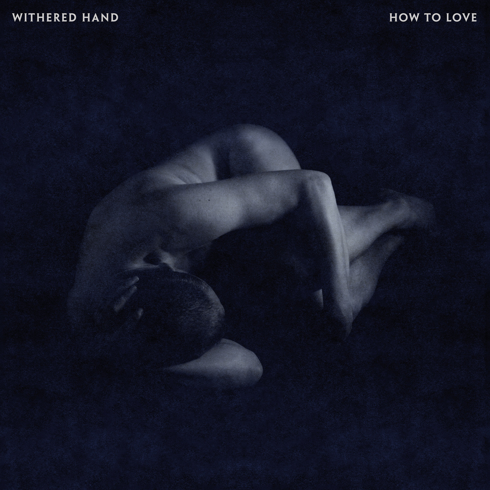 Picture of Withered Hand - How To Love