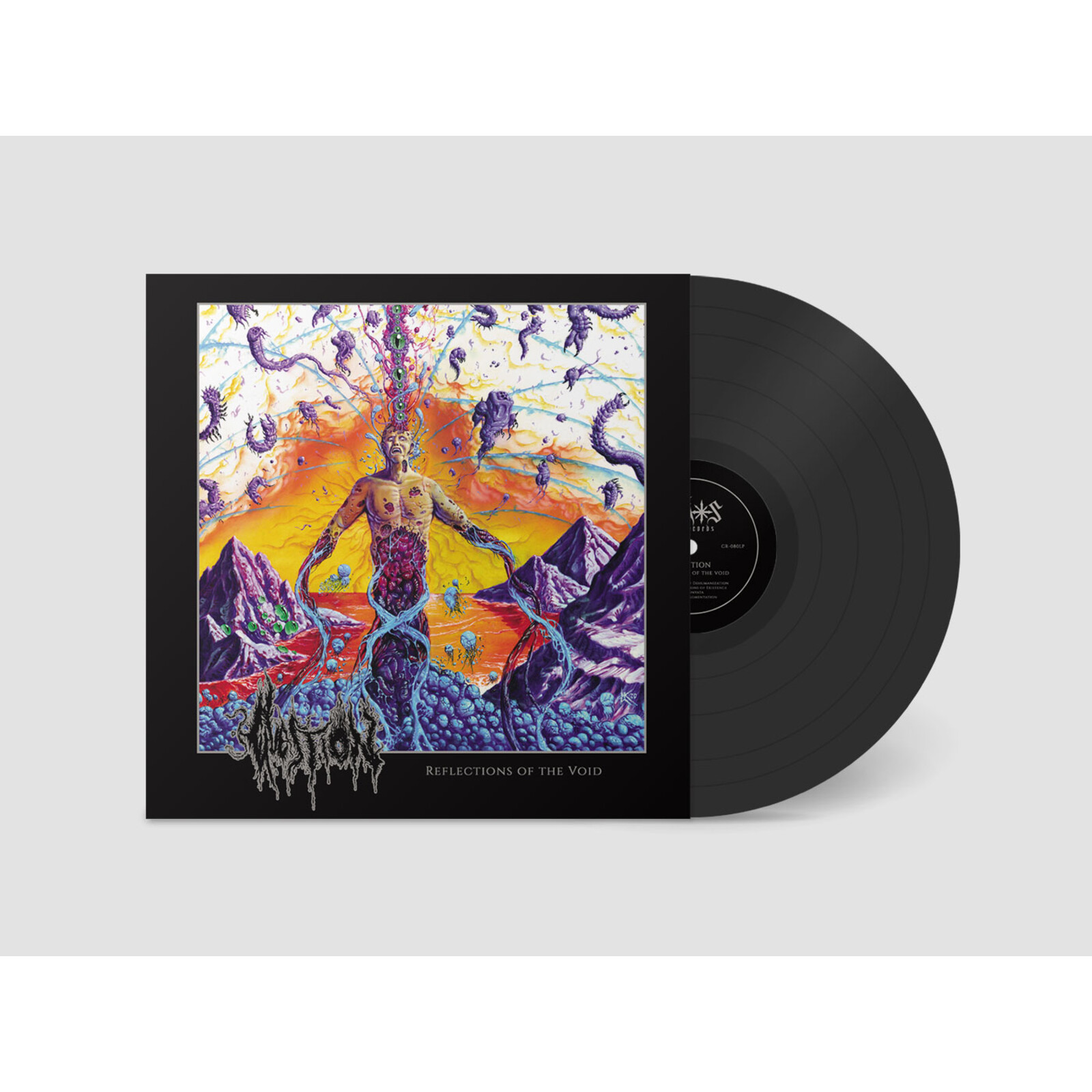 Picture of Question - Reflections of the Void