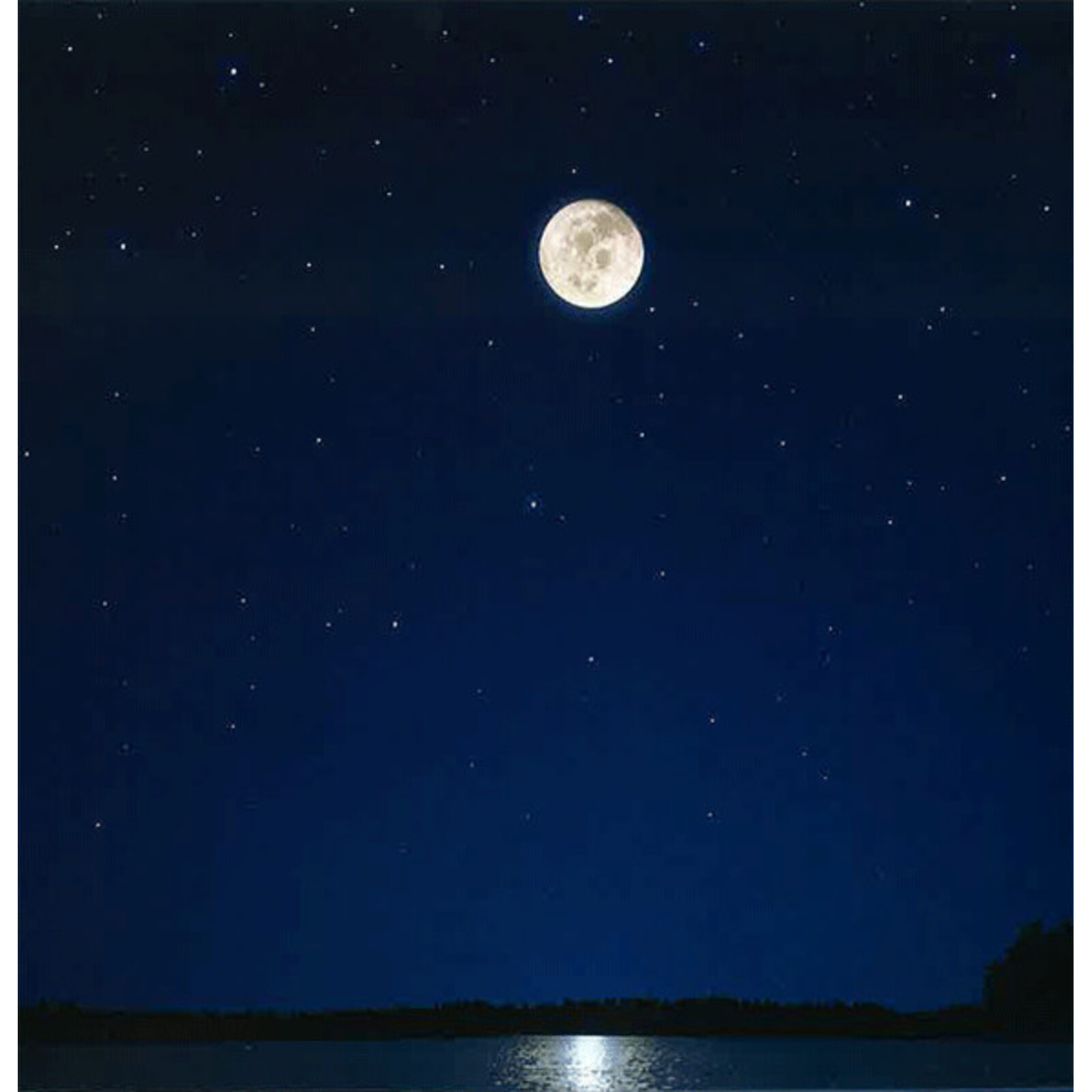 Picture of Electric Sewer Age - Moon's Milk (Blue Vinyl)