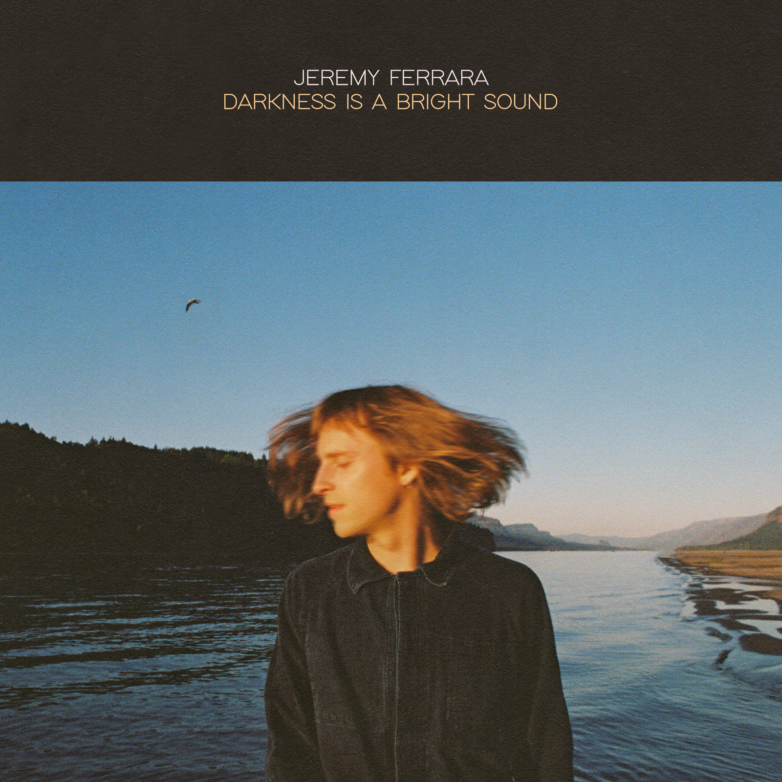 Picture of Jeremy Ferrara - Darkness Is A Bright Sound