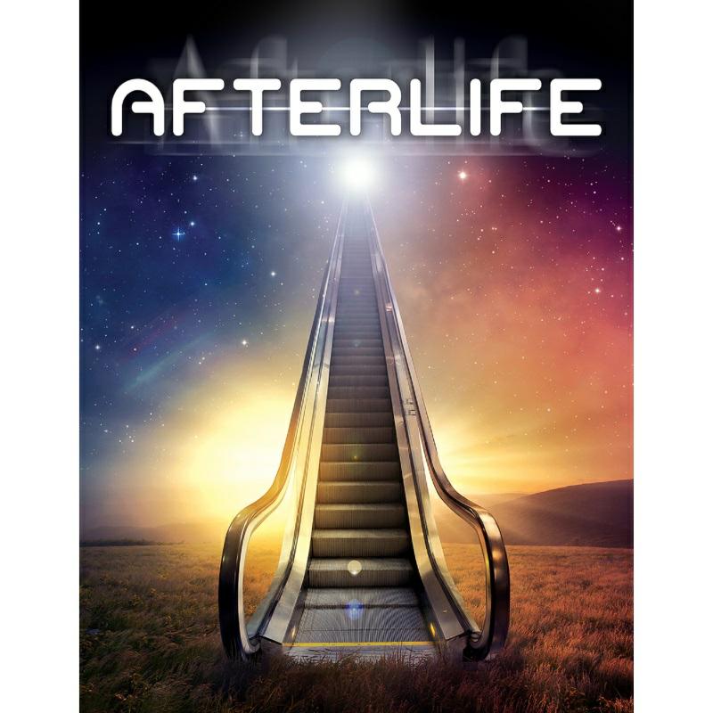Picture of Various - Afterlife