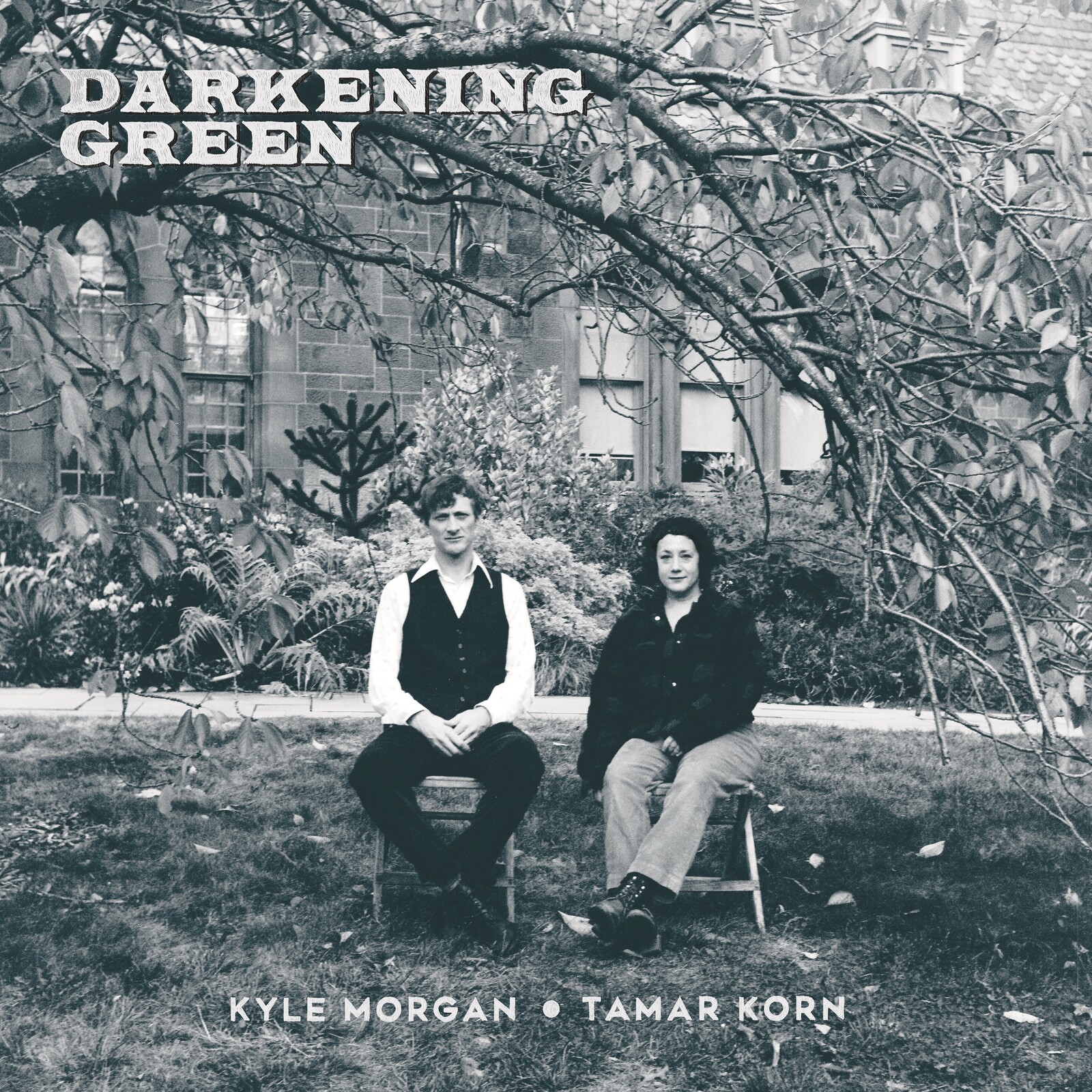 Picture of Kyle Morgan & Tamar Korn - Darkening Green