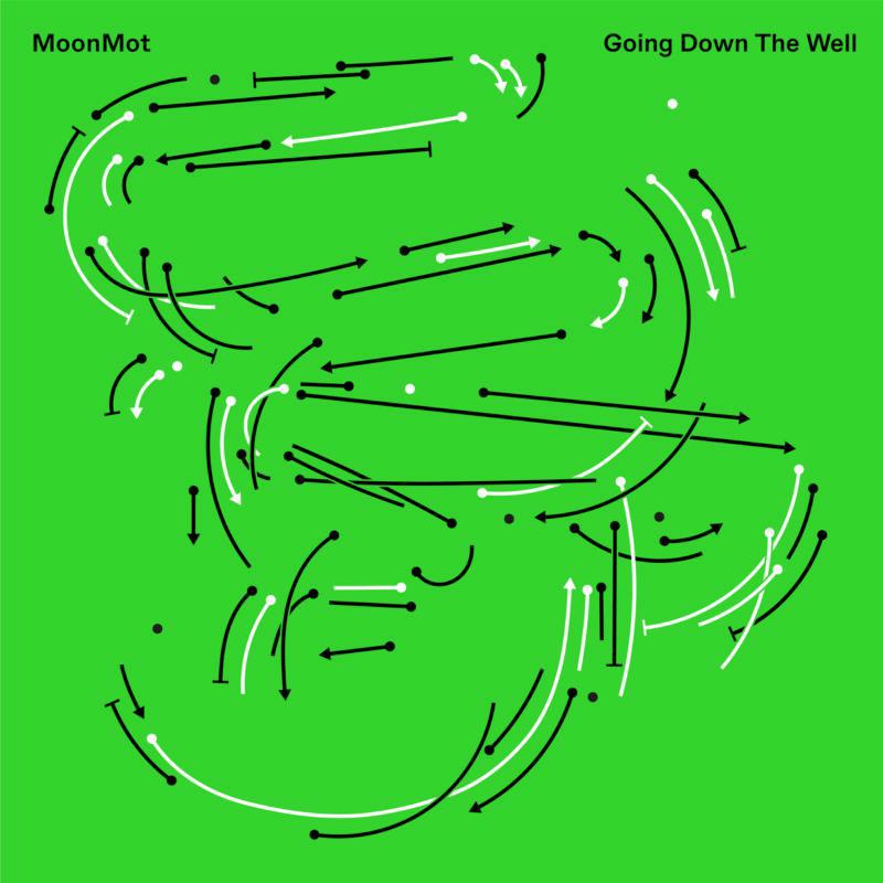 Picture of MoonMot - Going Down The Well