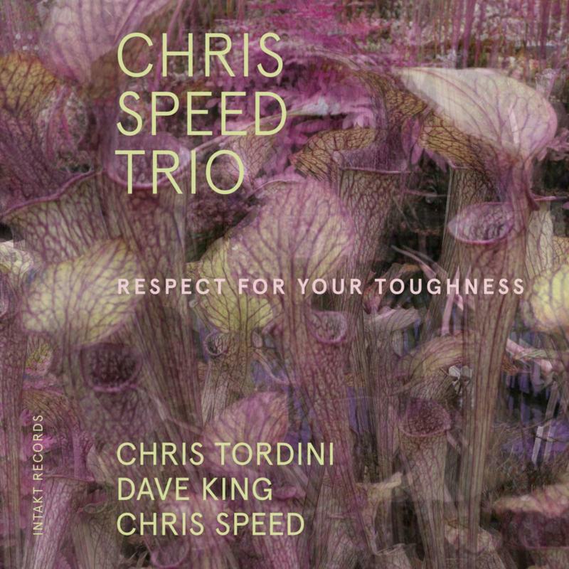 Picture of Chris Speed Trio - Respect For Your Toughness