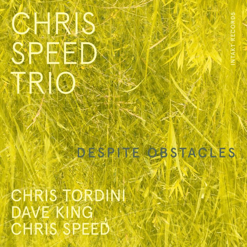 Picture of Chris Speed Trio - Despite Obstacles