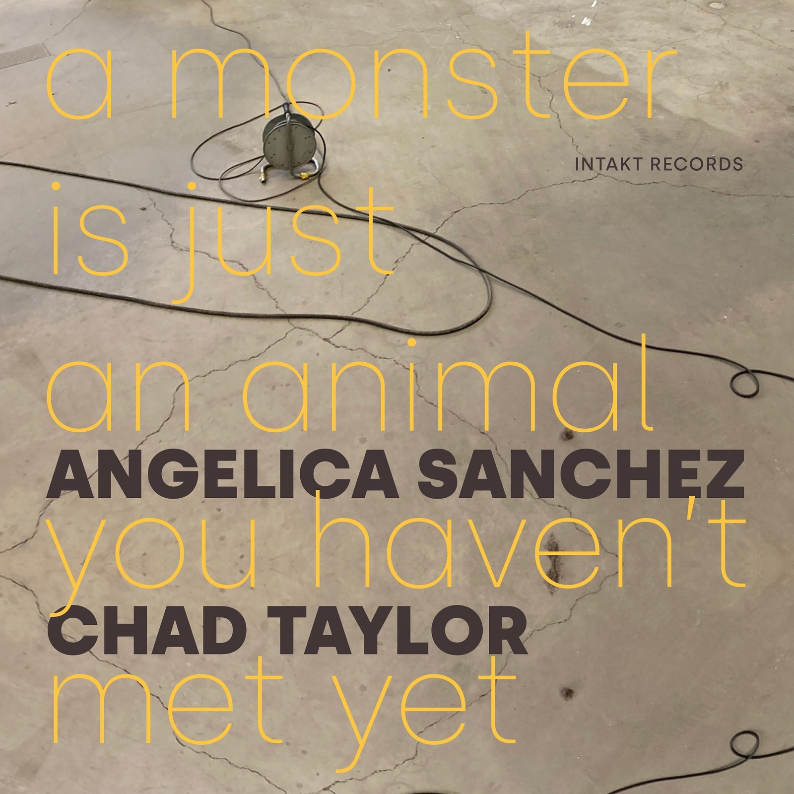Picture of Angelica Sanchez - Chad Taylor - A Monster Is Just An Animal You Haven't Met Yet
