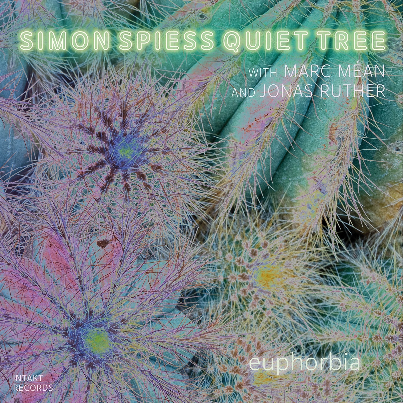 Picture of Simon Spiess Quiet Tree - Euphorbia