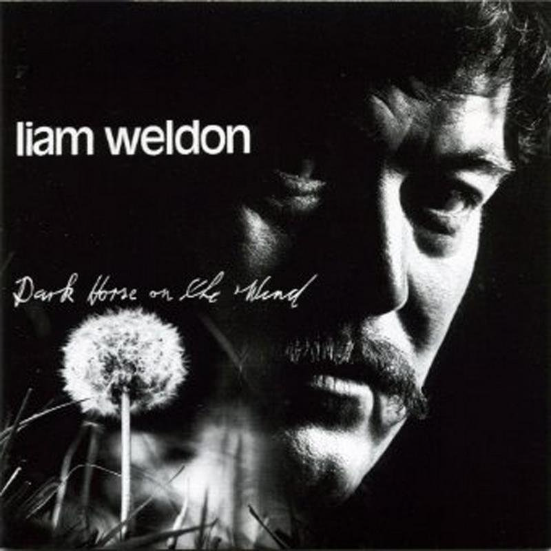 Picture of Liam Weldon - Dark Horse On The Wind