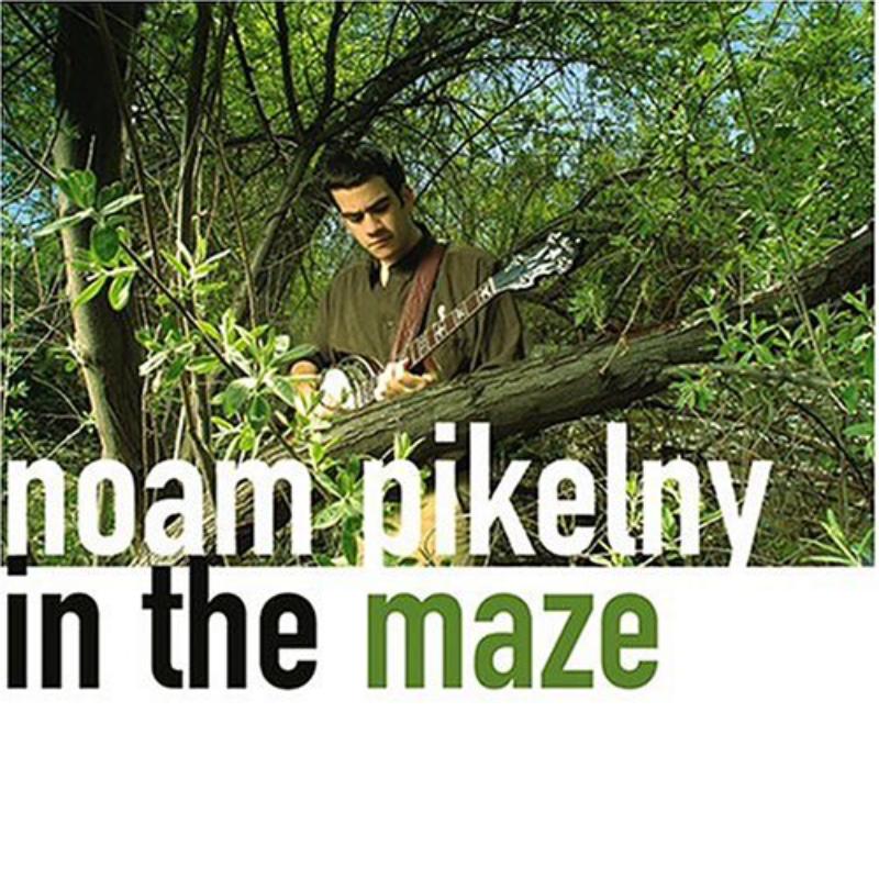 Picture of Noam Pikelny - In The Maze