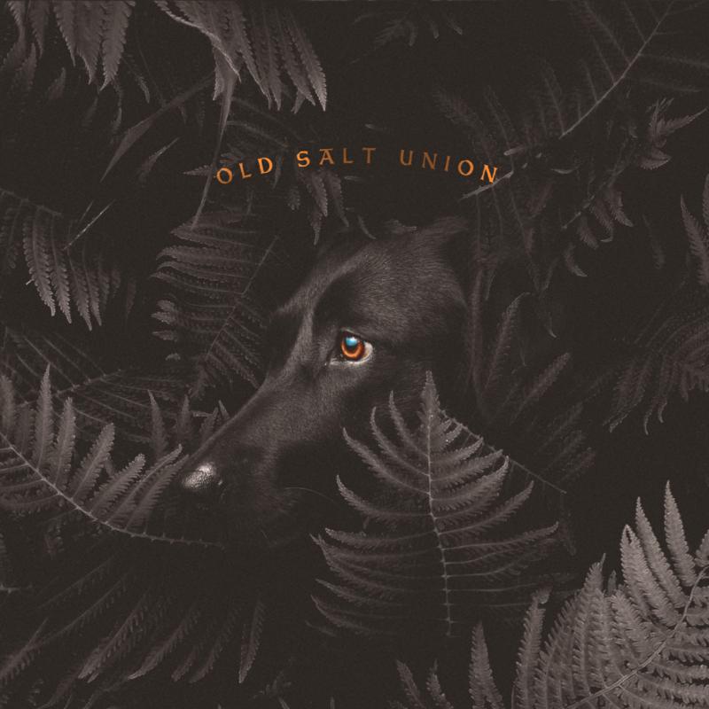 Picture of Old Salt Union - Where The Dogs Don't Bite