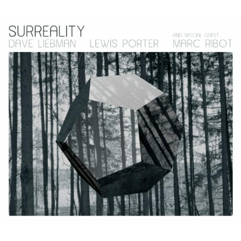 Picture of Dave Liebman & Lewis Porter - Surreality